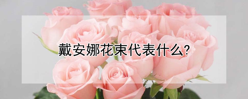 ȻʲôԢ⣿ʺ͸ʲôˣ