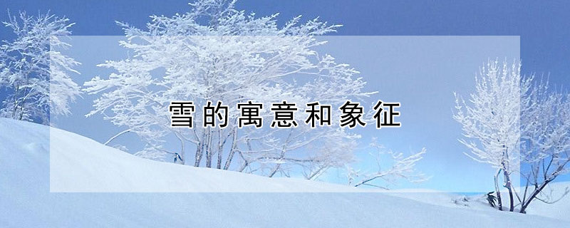 雪的寓意和象征是什么？雪有什么花语？