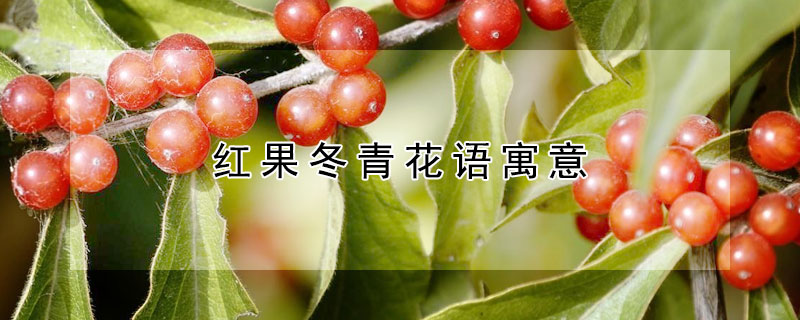 ໨Ԣʲô