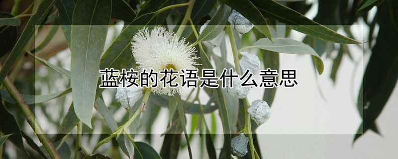 Ļʲô˼Щ壿