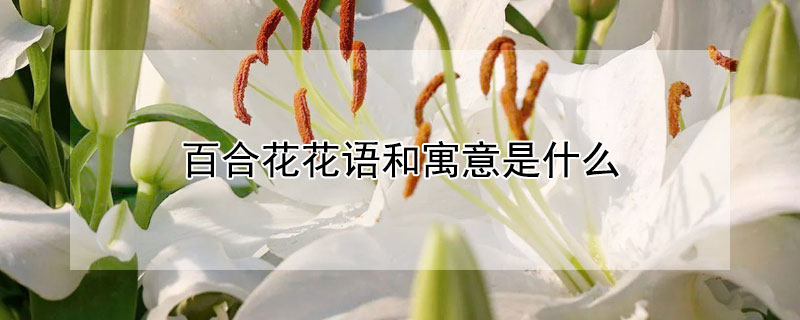 ٺϻԢʲôٺϻЩ壩