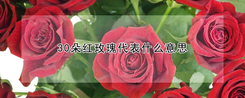 30õʲô˼30Ԣʲô壿