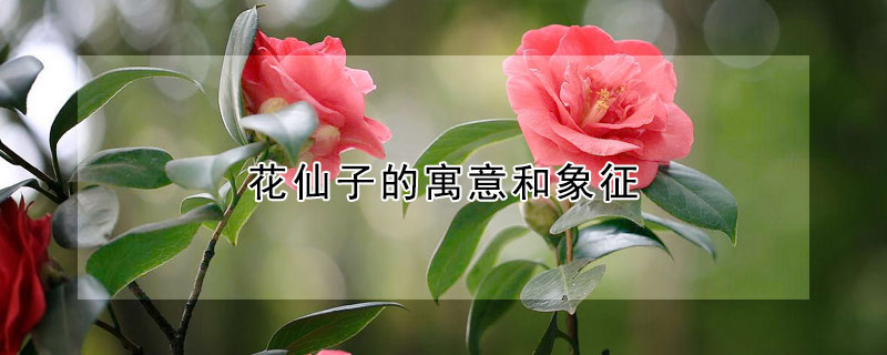 ӵԢʲô壿