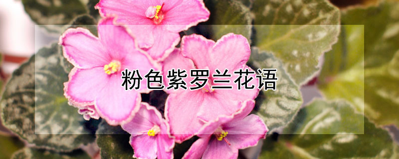 ɫɫʲô壩