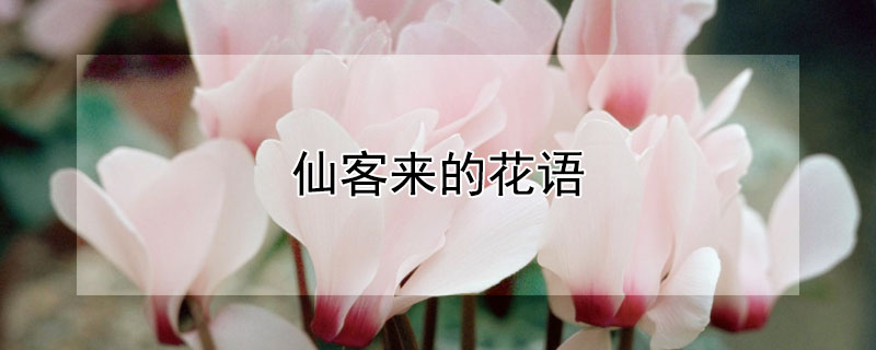 ɿĻЩ