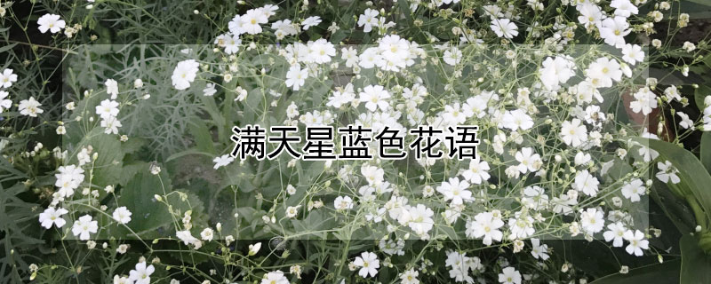 ɫɫǵԢ