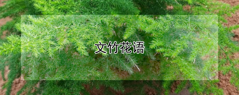 ĻЩ
