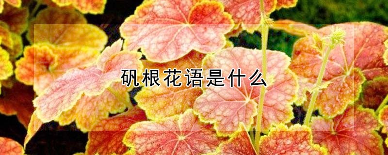 ĻʲôʲôԢ⣩