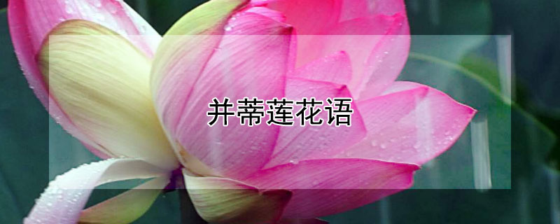 Ļʲô壩