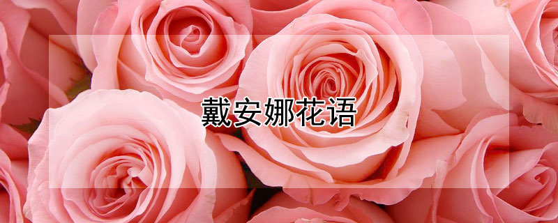 ȵĻȵԢ
