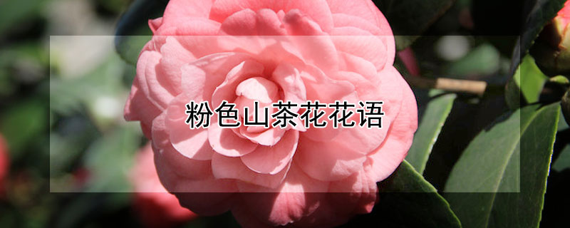 ɫɽ軨ɫɽ軨Щ壩