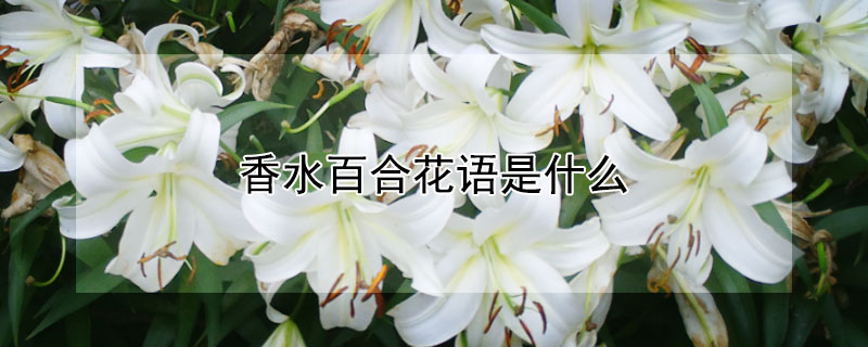 ˮٺϻʲôˮٺЩԢ⣩