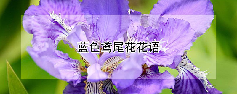 ɫβĻɫβЩ壩