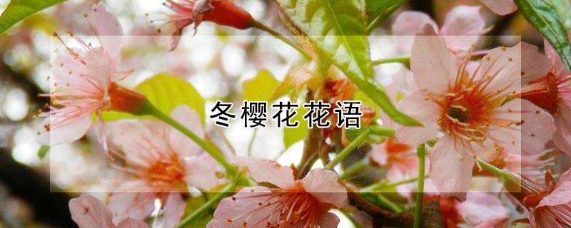 ӣĻӣʲôԢ⣩