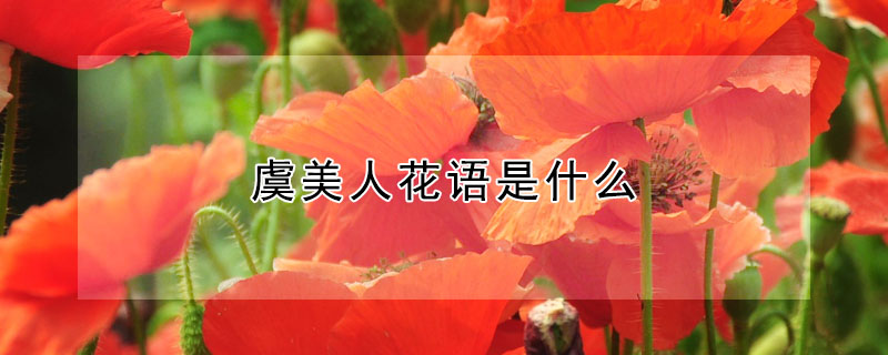 ˻ʲôʲôԢ⣿