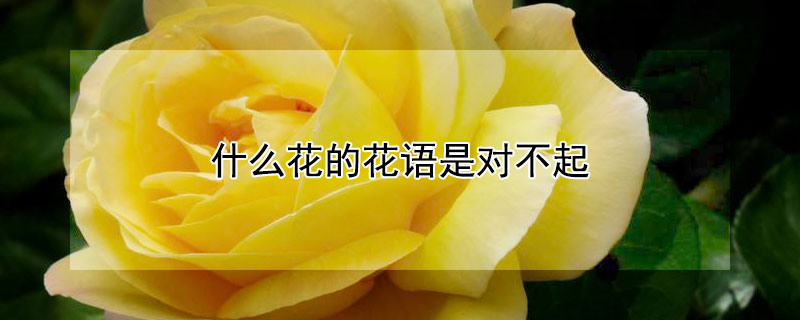 ʲôĻǶԲĺ壨ЩĻǶԲ