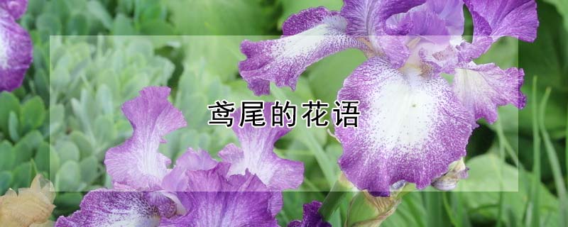 βĻβʲôԢ
