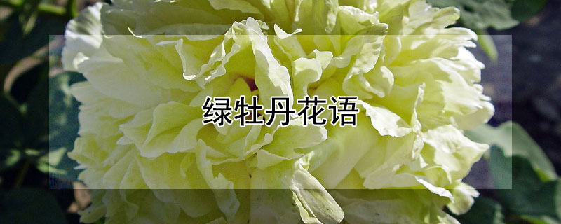 ĵĻĵЩ