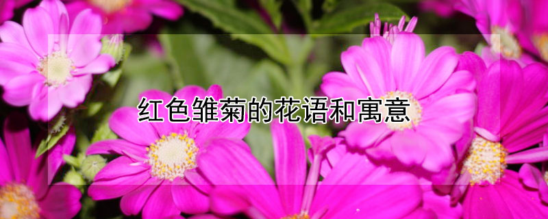 ɫյĻԢ⣨ɫЩ壩