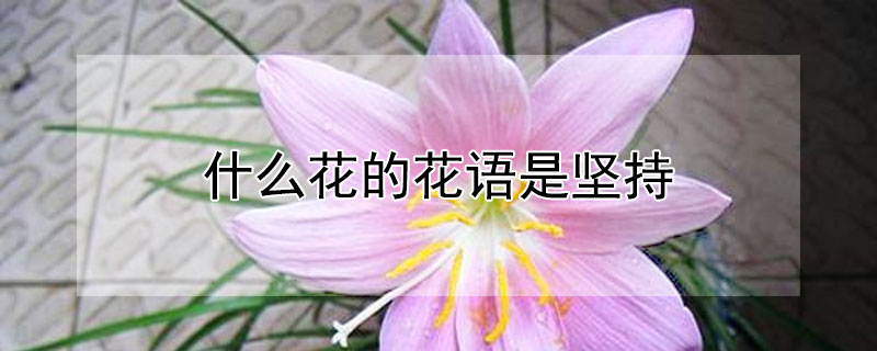 ʲôĻǼ֣ЩĻǼ֣