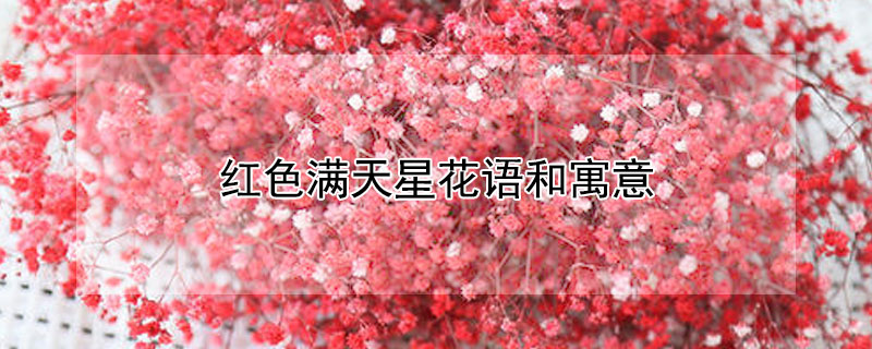 ɫǻԢ⣬ɫЩ壿