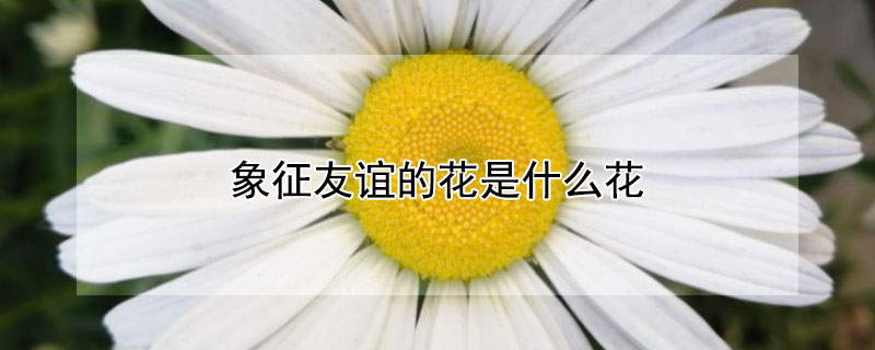 Ļʲô