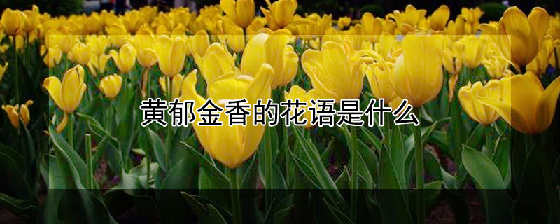 ĻʲôʲôԢ⣿