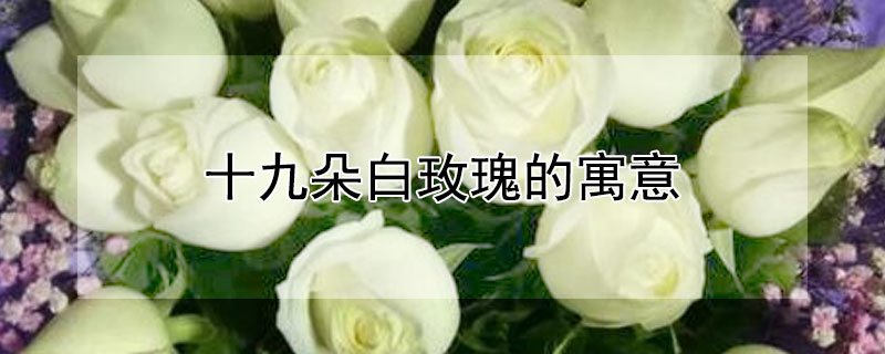 ʮŶõԢ⣬ʮŶõʲô壿