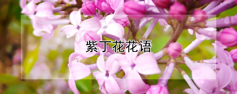 ϶Ļﺬ壬϶Ԣ