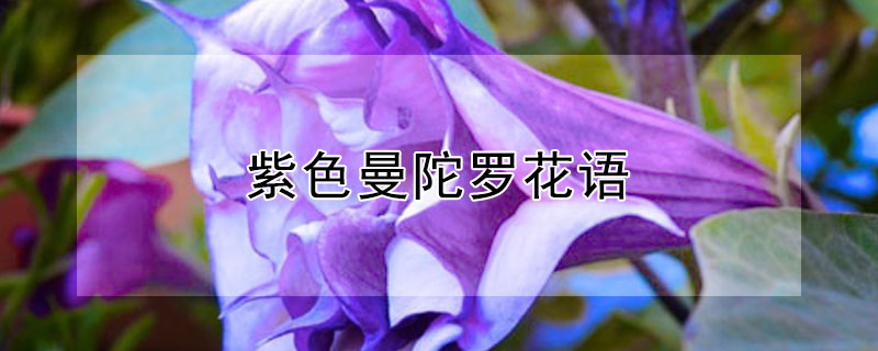 ɫ޵ĻɫӵЩԢ⣿
