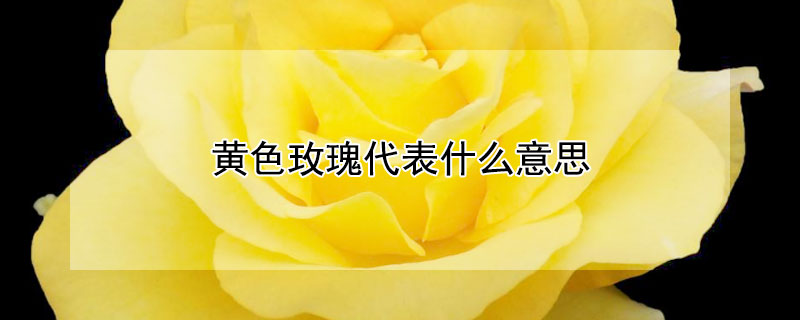 ɫõʲô˼ɫõЩ壿