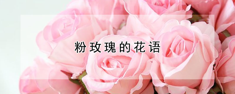 õĻʲôõԢ⣩
