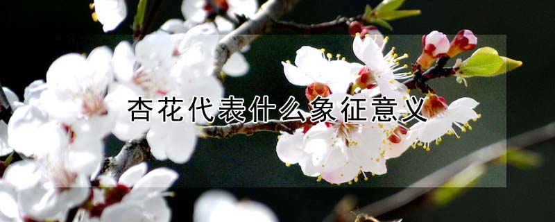 ӻʲô壨ӻЩ壩