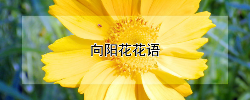 ĻЩ壩