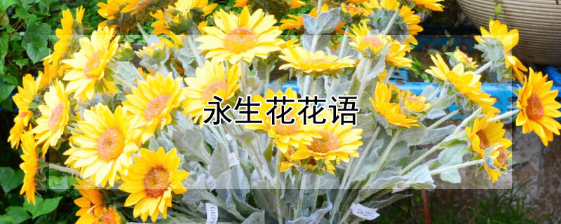 Ԣ