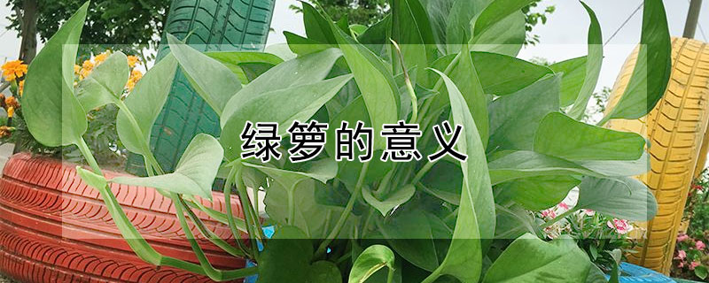 ʲô壿