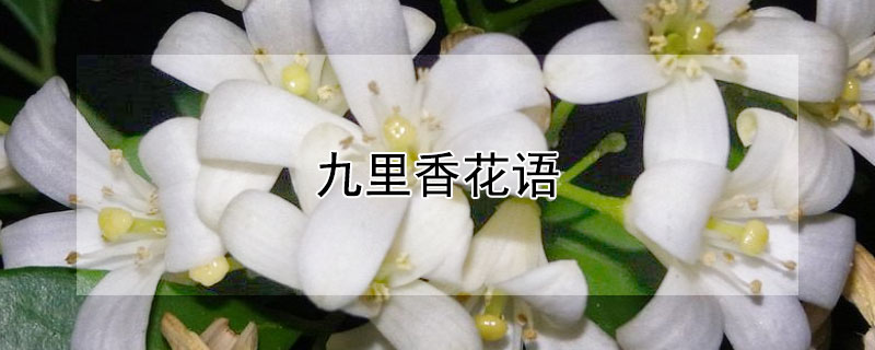 ĻЩ壩