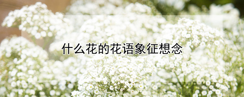 ʲôĻЩĻ