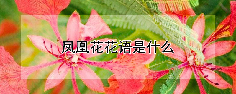 ˻ʲô˻ʲôԢ⣿