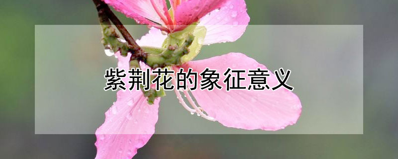 Ͼ壨ϾʲôԢ⣩
