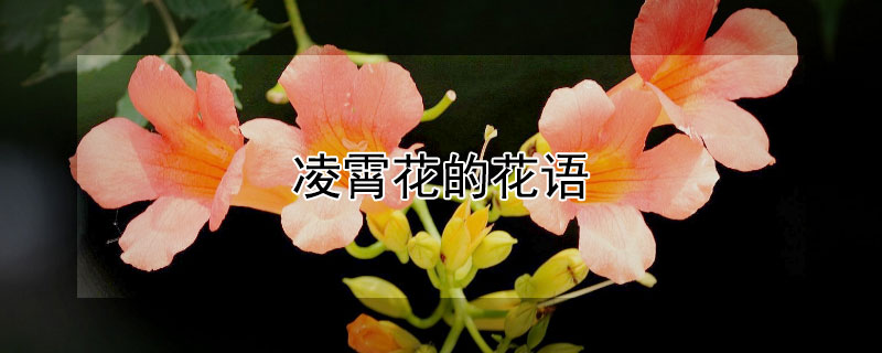 ĻЩԢ⣿