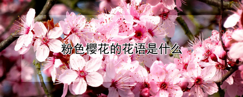 ɫӣĻʲôɫӣЩԢ⣿