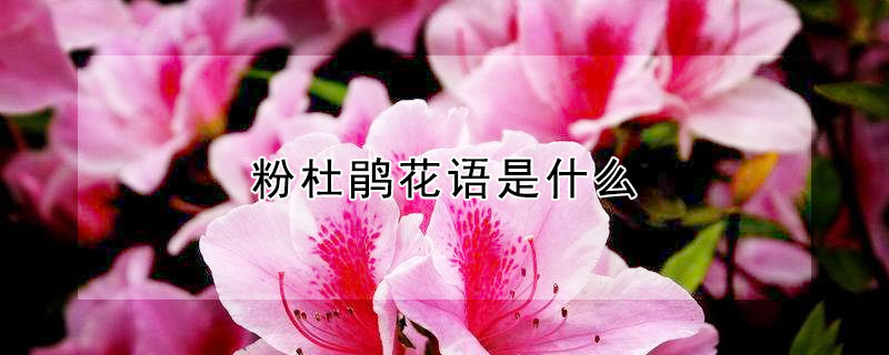 ۶ž黨ʲô۶žЩԢ⣩