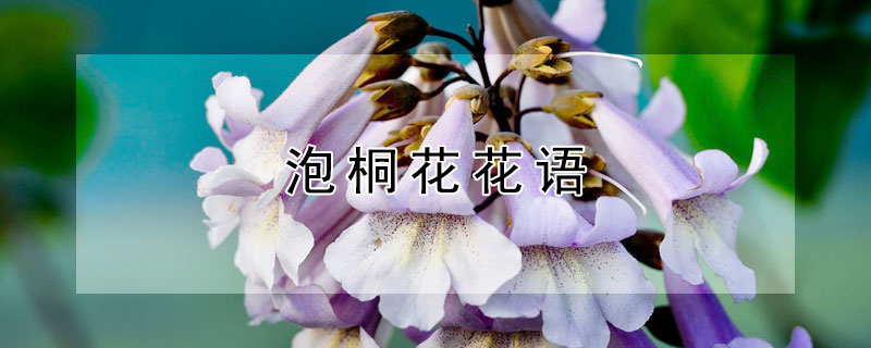 ͩĻͩԢ