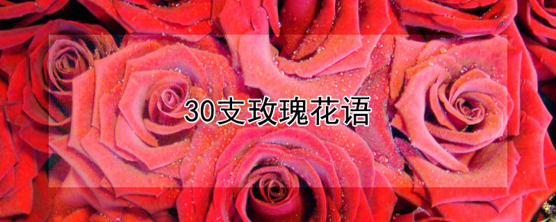 30֧õ廨30֧õЩԢ⣩