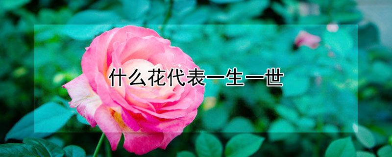 ʲôһһЩһһ