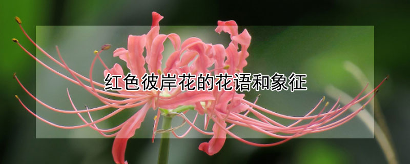 ɫ˰Ļɫ˰Щ壩