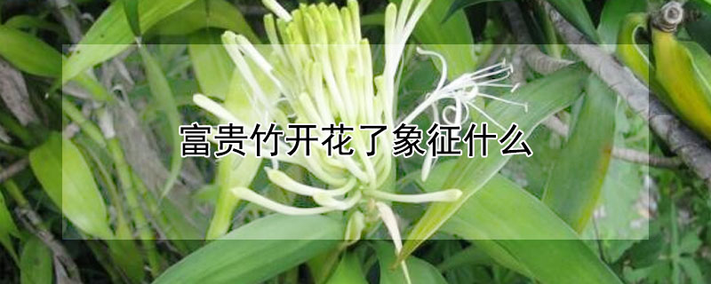 񿪻ʲô񿪻˵Ļ