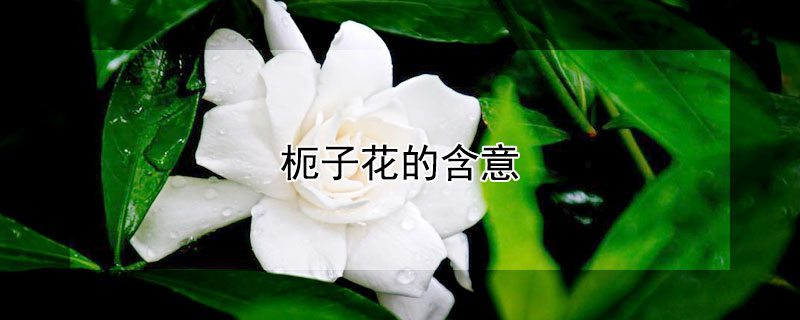 ӻĺ