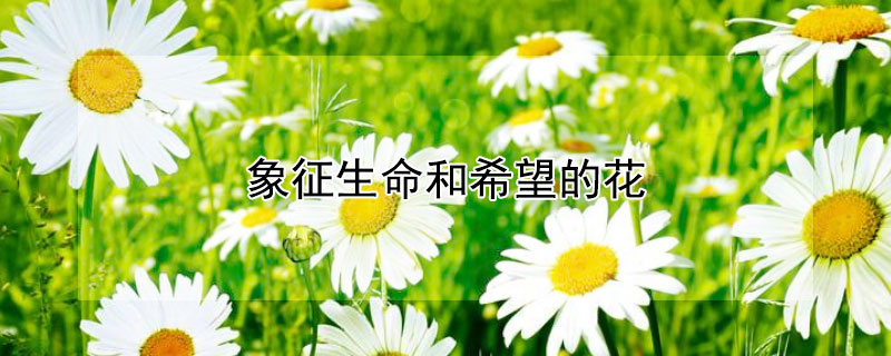 ϣĻЩ